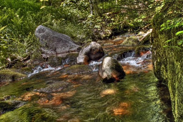 Flödande creek 90 — Stockfoto