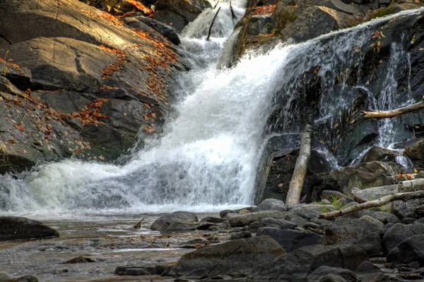 Forêt d'automne et paysage fluvial 12 — Photo