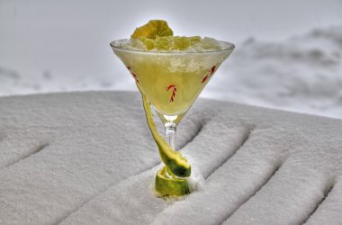 donmuş marguerita 16