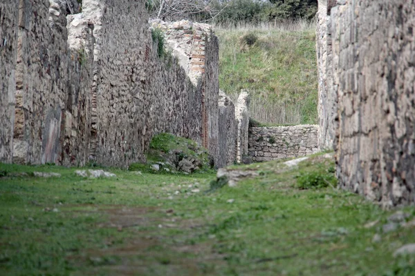 Various Ruin Sites City Rome Historical Backgrounds — Fotografia de Stock