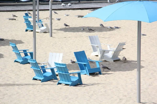 Kolorowe Krzesła Plażowe Różnych Ustawieniach Piaskiem Parasolem — Zdjęcie stockowe