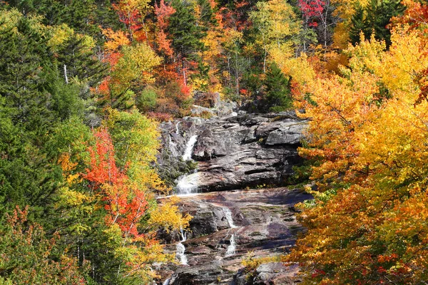 Scène Automne Avec Des Feuilles Différentes Couleurs Sur Flanc Montagne — Photo