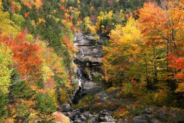 Dağ yamacında çeşitli renklerde yapraklarla sonbahar sahnesi