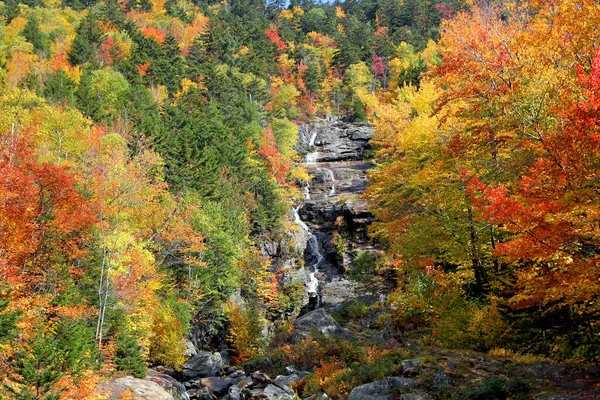 Herfst Scène Met Bladeren Van Verschillende Kleuren Flank Van Berg — Stockfoto