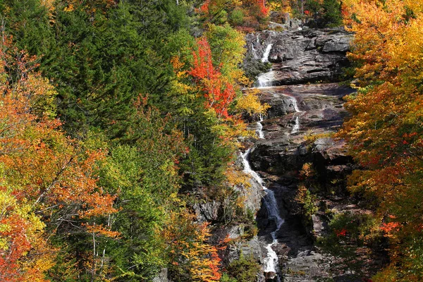 Φθινοπωρινή Σκηνή Φύλλα Από Διάφορα Χρώματα Στην Πλαγιά Του Βουνού — Φωτογραφία Αρχείου