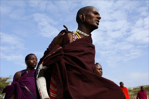 Dansande maasai porträtt. — Stockfoto