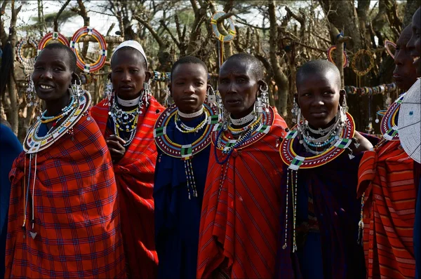 Masai kadın. — Stok fotoğraf