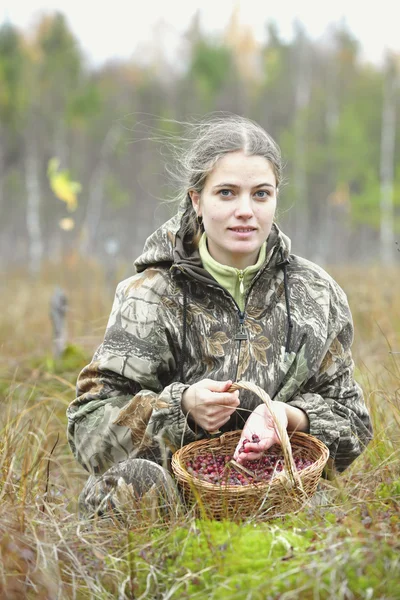 Jonge vrouw cranberry te halen op een moeras. — Stockfoto