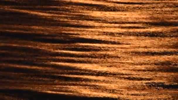 Powierzchnia Wody Podświetleniu Światło Słoneczne Jest Odbite Streszczenie Czerwonej Błyszczącej — Wideo stockowe