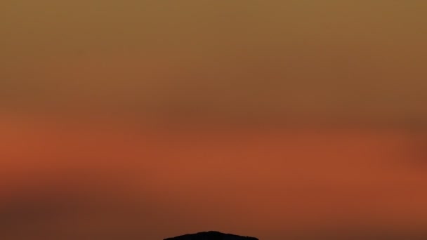 黄昏时分 石上一盏灯的轮廓 红色日落天空背景 共同的土地 Sterna Hirundo 拉多加湖俄罗斯 慢动作 — 图库视频影像