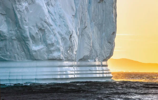 Des Icebergs Coucher Soleil Disko Bay Ouest Groenland — Photo