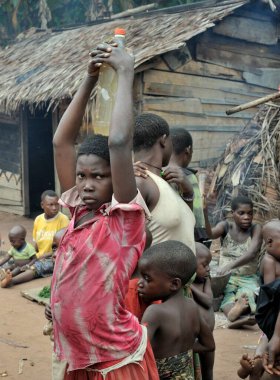 DZANGA-SANHA FOREST RESERVE, CENTRAL AFRİKAN REPUBLIC - Kasım 5, 2008: Baka pigme kabilesinden bir kızın portresi. Dzanga-Sangha Orman Koruma Alanı, Orta Afrika Cumhuriyeti, 5 Kasım 2008