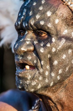 OW VILLAGE, ASMAT PROVINCE, NEW GUINEA, INDONEA - 28 Haziran: Yüzünde geleneksel bir resim olan Asmat, cuscus ve kakadu tüylerinden kapak. 28 Haziran 2012 Jow Village, Asmat ili, Endonezya 