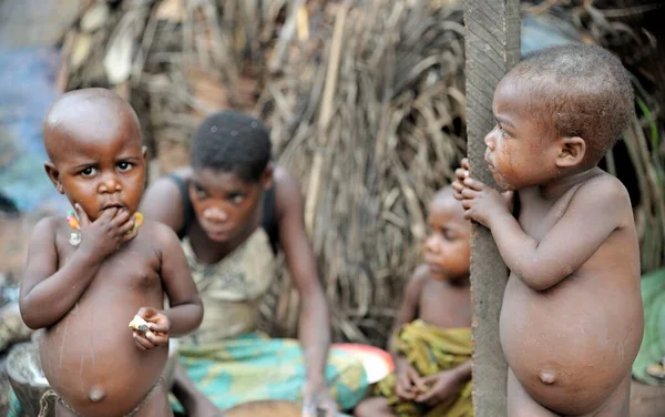 Dzanga Sanha Forest Rezerva Central African Republic Car Africa Ledna — Stock fotografie