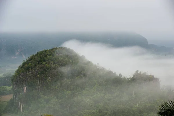 跨越古巴维纳莱斯山谷的鸟图 清晨的暮色和雾 在比那尔德里奥的维纳莱斯山谷黎明的雾 以古巴烟草种植园而闻名 联合国教科文组织的世界遗产 — 图库照片