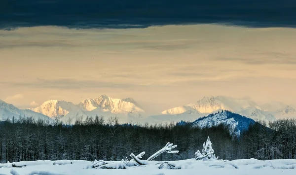 Chilkat Nehir Bir Gündoğumu Karda Dağlarda Alaska Usa Kışın — Stok fotoğraf