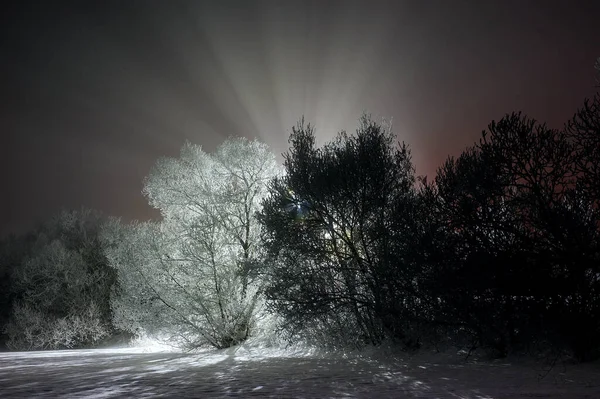 Winter Landscape Night — Stock Photo, Image