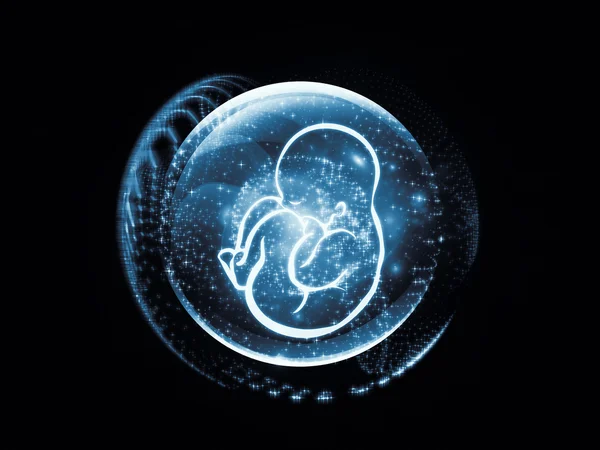 Visualization of the Fetus — Stock Photo, Image