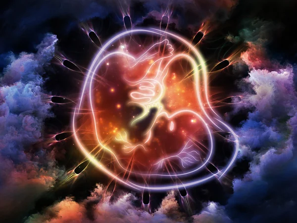 胎儿的能量 — 图库照片