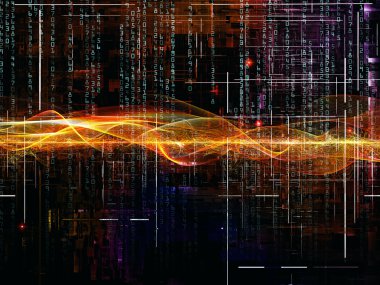 dijital ağ çeşitliliği