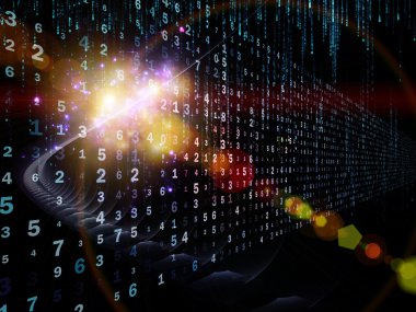 bilgi akışı krallıkları