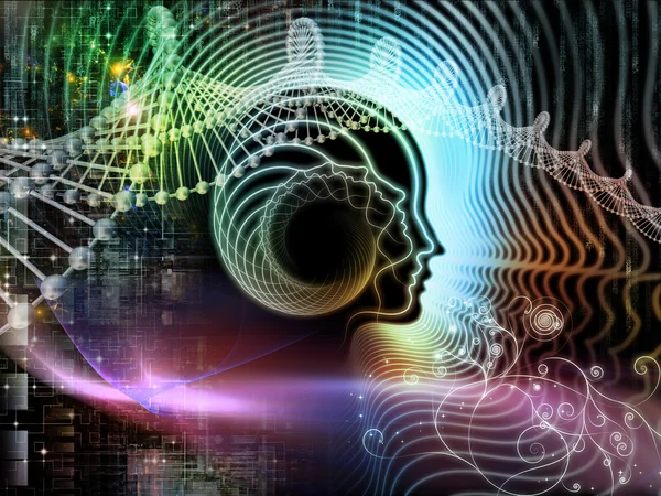 insan aklının krallıkları