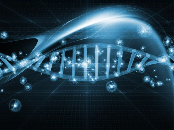 kapısı fraktal krallıkları