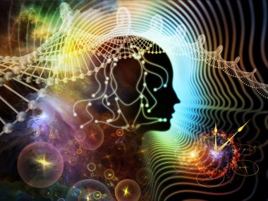 insan zihni bilgi işlem