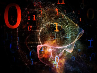 numaraları çeşitliliği