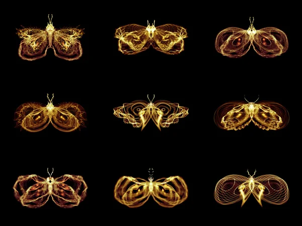 Collection of Fractal Butterflies — Stock Photo, Image