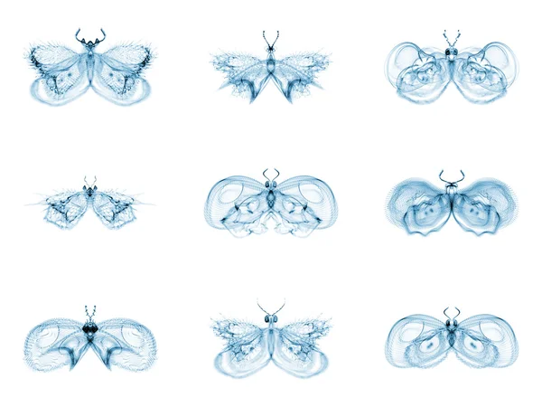 Diversity of Fractal Butterflies — Stock Photo, Image