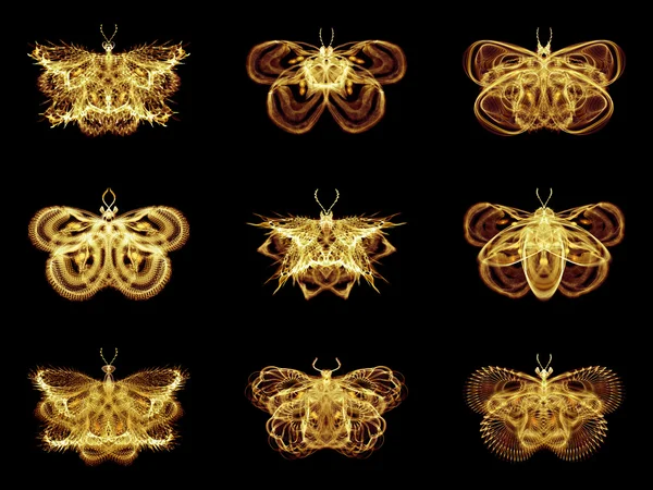 การเลือกผีเสื้อ fractal — ภาพถ่ายสต็อก