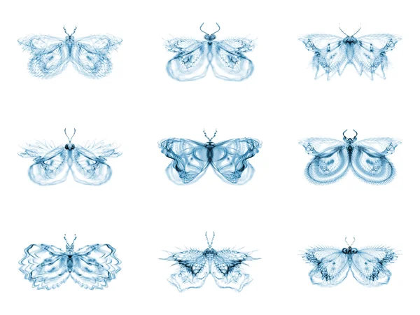 Diversity of Fractal Butterflies — Stock Photo, Image