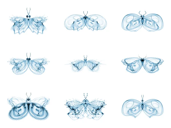 Diversity of Fractal Butterflies — Stock Photo, Image