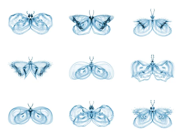 Diversity of Fractal Butterflies — Stock Photo, Image