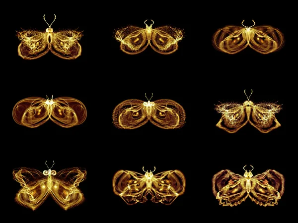 Collection of Fractal Butterflies — Stock Photo, Image