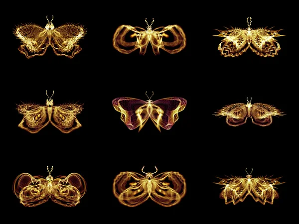 Collection of Fractal Butterflies — Stock Photo, Image