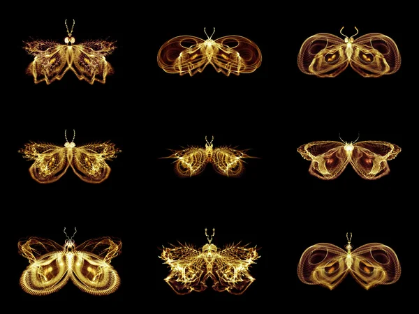 Collection of Fractal Butterflies — Stock Photo, Image