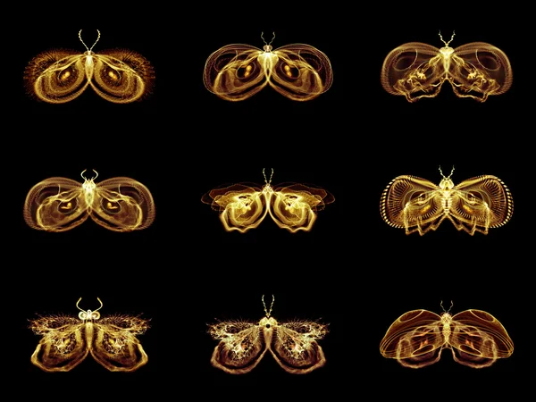 Collection of Fractal Butterflies — Stock Photo, Image