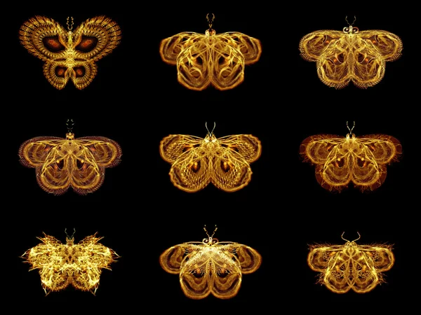 Selection of Fractal Butterflies — Stock Photo, Image