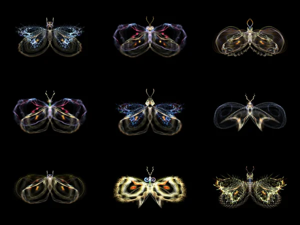 Visualización de mariposas fractales —  Fotos de Stock