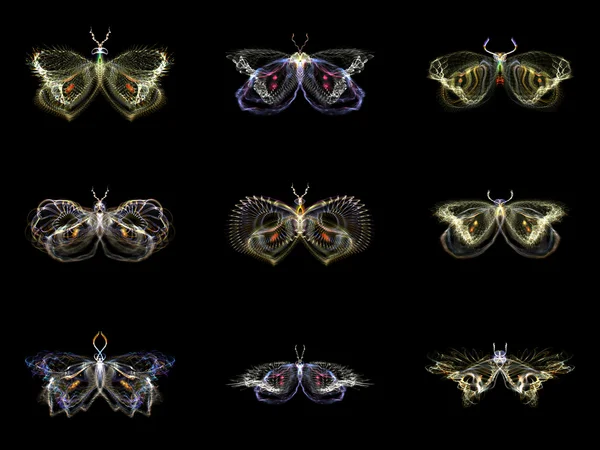 可视化的分形蝴蝶 — 图库照片