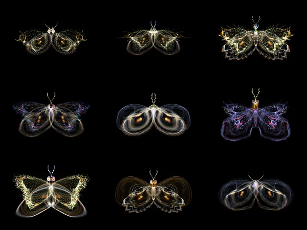 Visualization of Fractal Butterflies — Stock Photo, Image