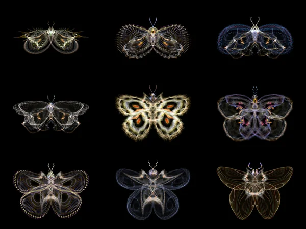 Visualization of Fractal Butterflies — Stock Photo, Image