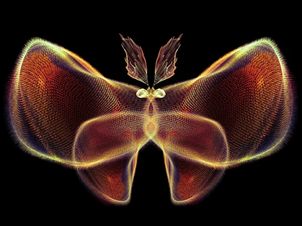 Kelebek tasarım — Stok fotoğraf