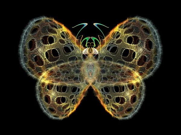 Butterfly ontwerp — Stockfoto