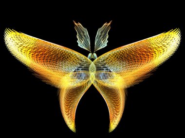 Kelebek tasarım