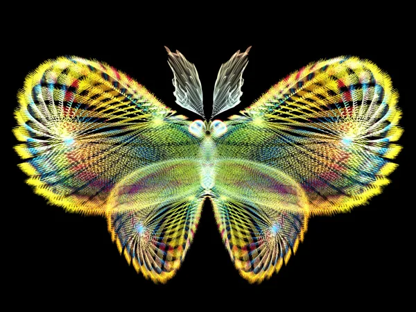 Colorful Butterfly — Stock Photo, Image