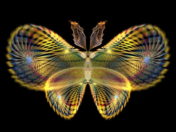 화려한 나비 — 스톡 사진