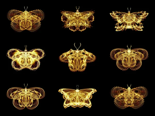 การเลือกผีเสื้อ fractal — ภาพถ่ายสต็อก